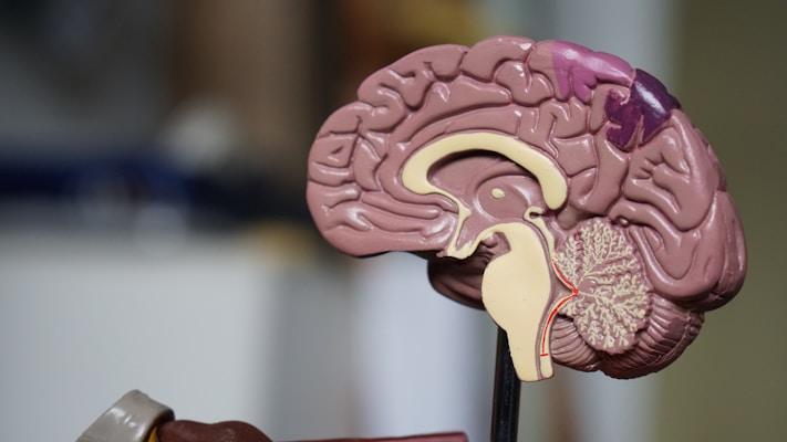Understanding Depression: Symptoms, Types, and Effective Treatment Options