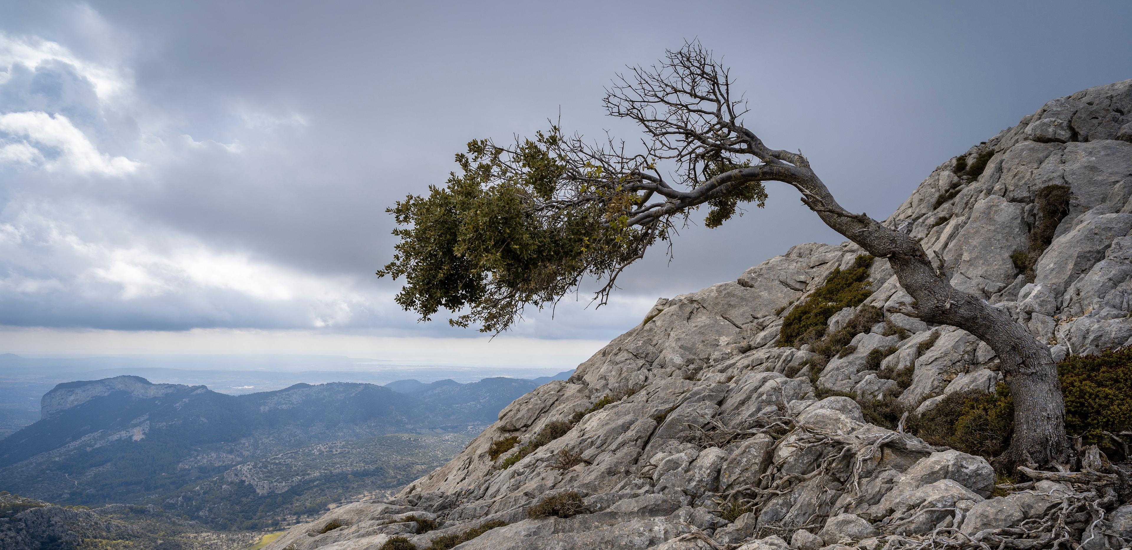 Find Resilience in Challenging Times