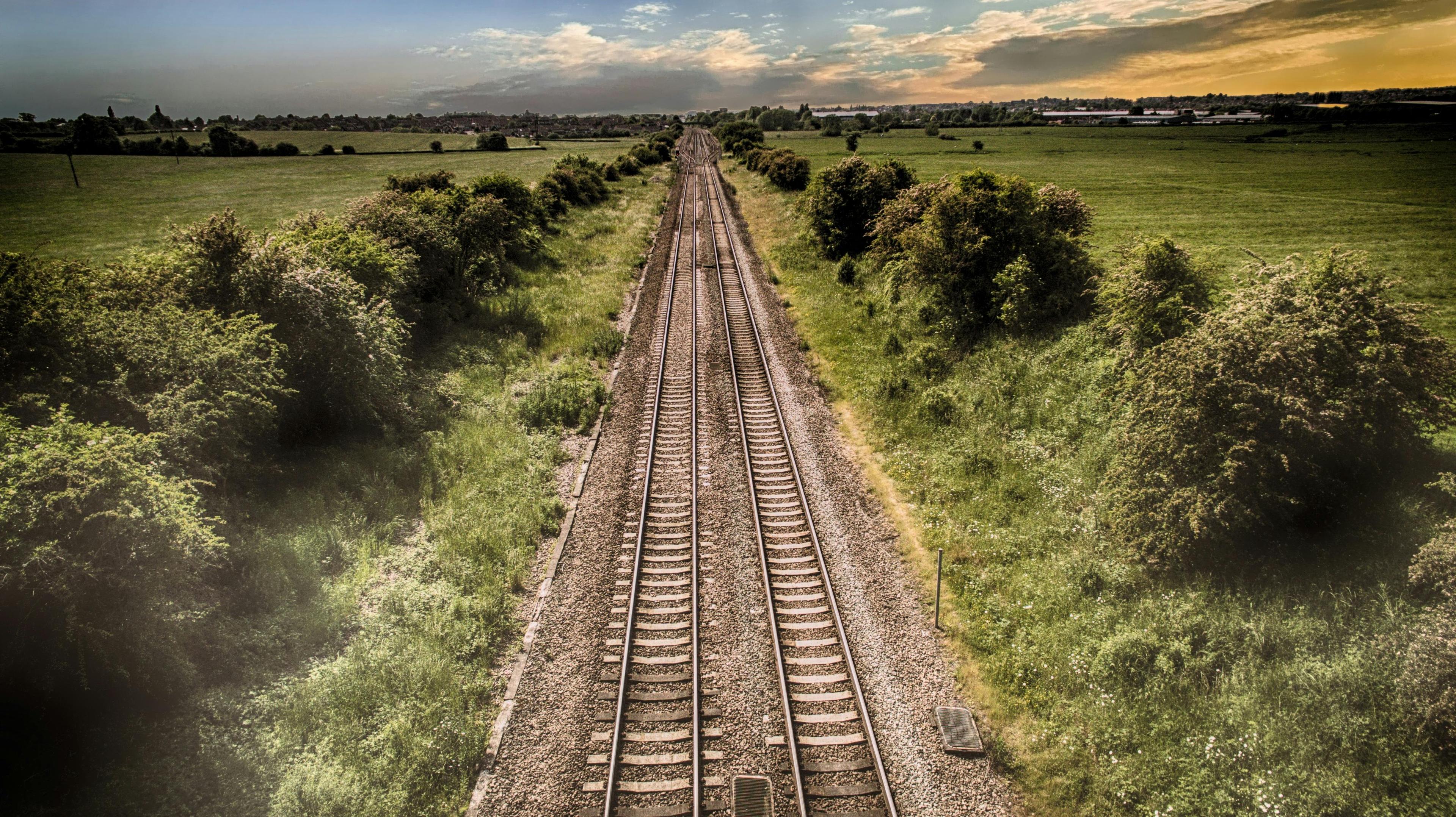 Navigating Life Transitions